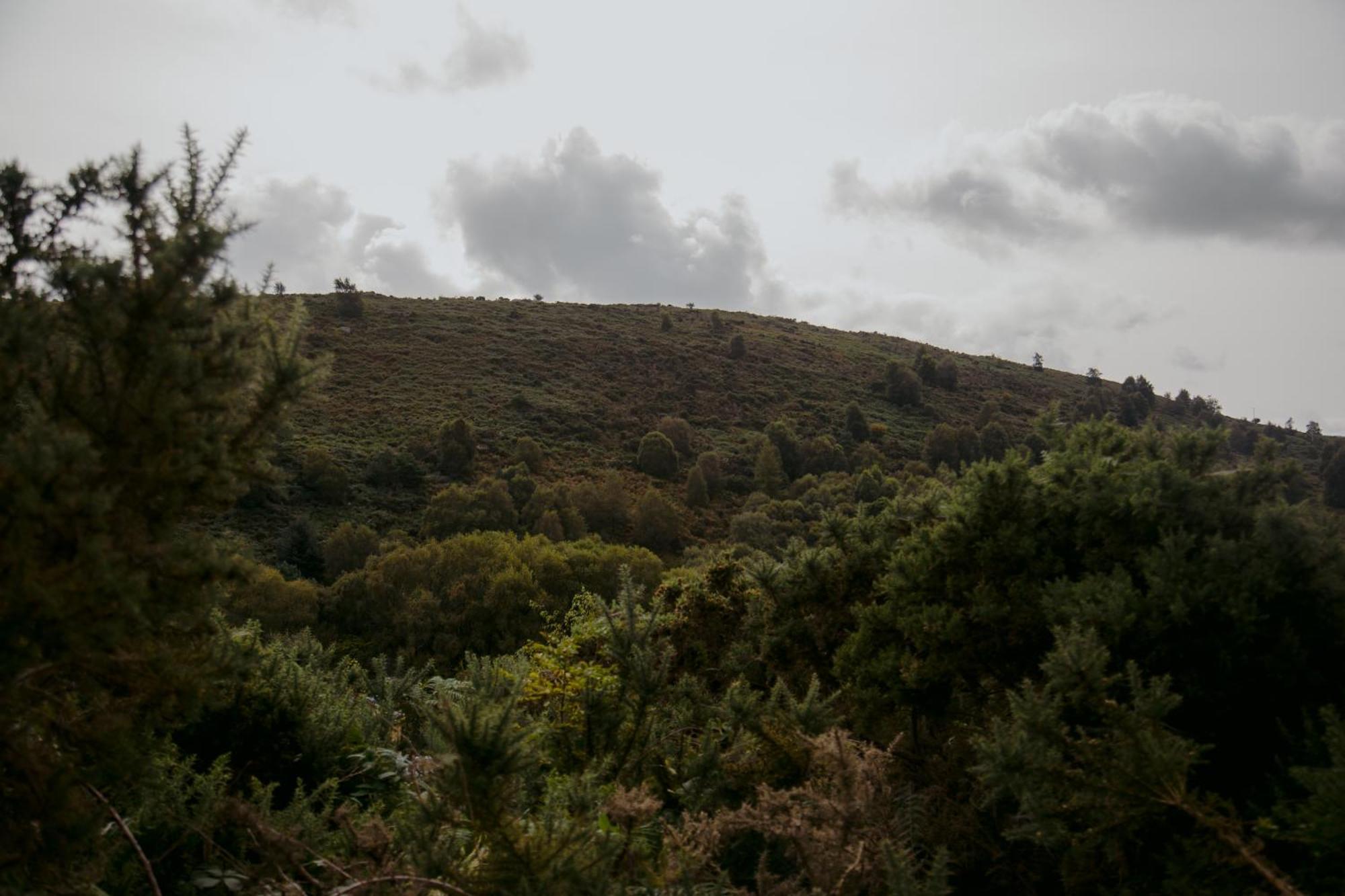 The Deerstone Luxury Eco Hideaway Villa Laragh Eksteriør billede